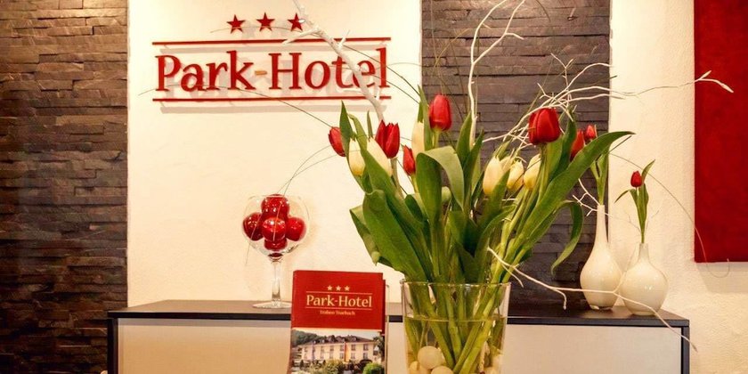 Imagen de los interiores del Hotel Park, Traben-Trarbach. Foto 20