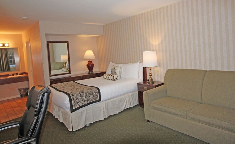 Imagen de la habitación del Hotel Park View Inn - Salem. Foto 8