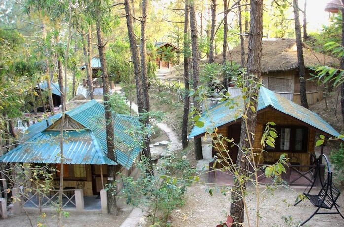 Imagen general del Hotel Park Woods Shoghi. Foto 9