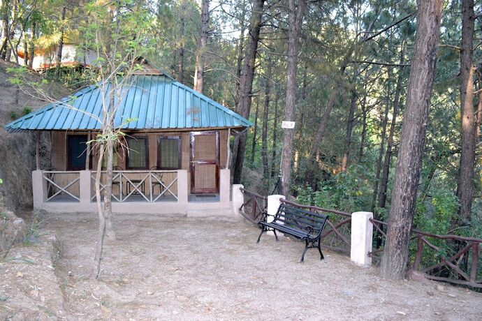 Imagen general del Hotel Park Woods Shoghi. Foto 15