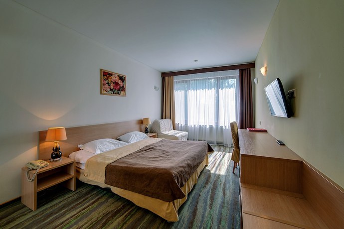 Imagen de la habitación del Hotel Park Yahonty Noginsk. Foto 17