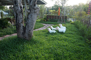 Imagen de los exteriores del Hotel Park and Pool Resort. Foto 10