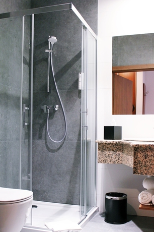 Imagen de la habitación del Hotel ParkLyson. Foto 12