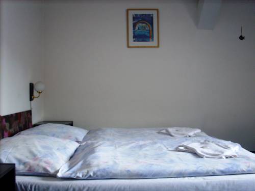 Imagen de la habitación del Hotel Park&aacute;n. Foto 14