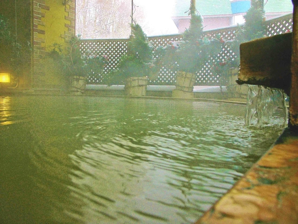 Imagen de la piscina del Hotel Parkhills. Foto 8