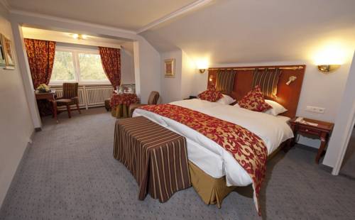 Imagen de la habitación del Hotel Parkhotel Adler. Foto 13