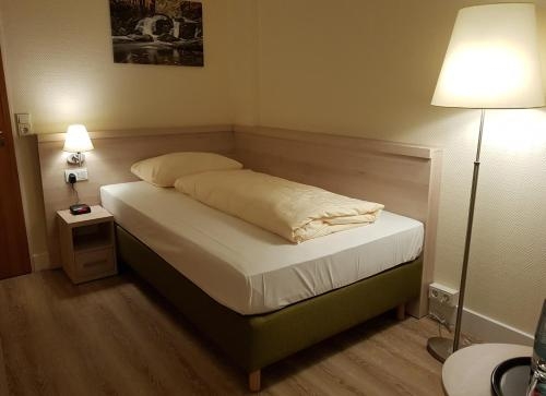 Imagen general del Hotel Parkhotel Bad Harzburg. Foto 5