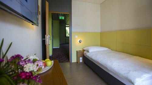 Imagen de la habitación del Hotel Parkhotel Brenscino Brissago. Foto 6