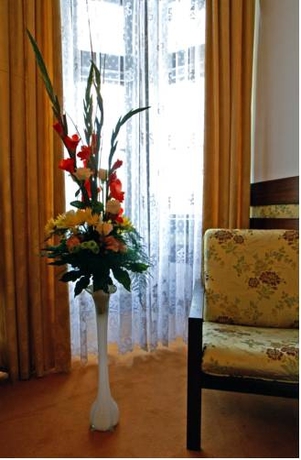 Imagen general del Hotel Parkhotel Brno. Foto 3