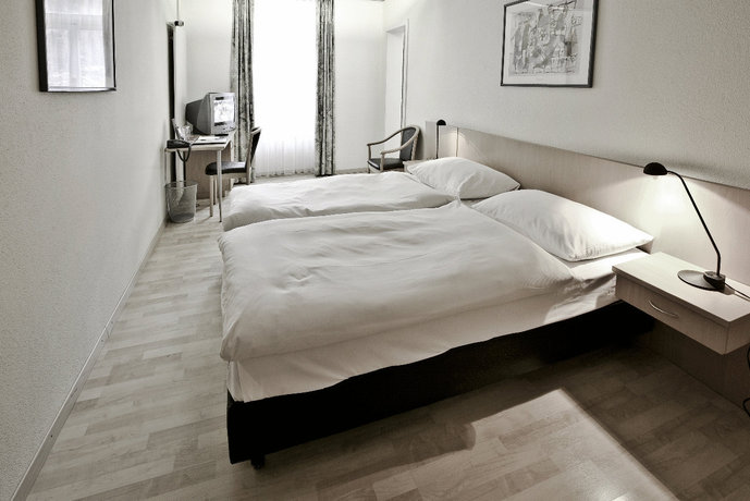 Imagen general del Hotel Parkhotel Du Sauvage. Foto 13