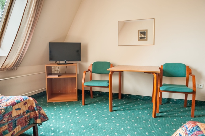 Imagen de la habitación del Hotel Parkhotel Economic. Foto 10