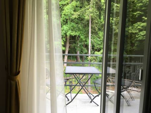 Imagen general del Hotel Parkhotel Forest. Foto 1