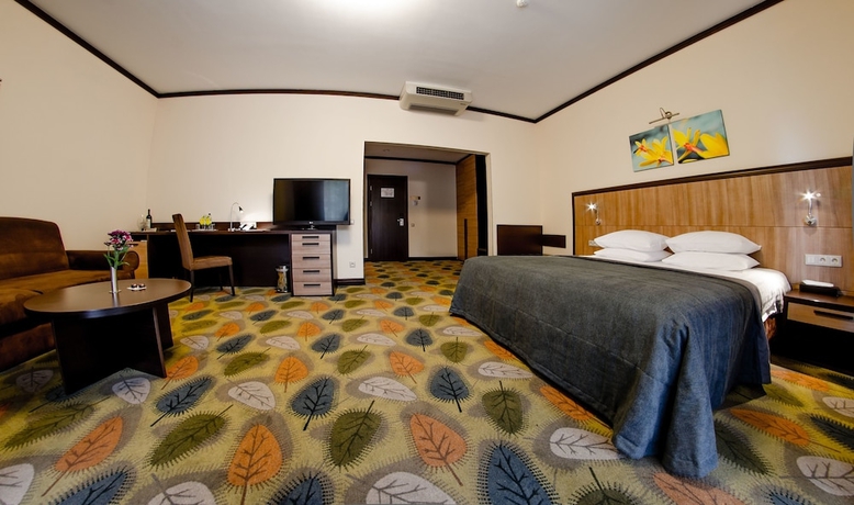 Imagen de la habitación del Hotel Park-hotel Golosievo. Foto 2