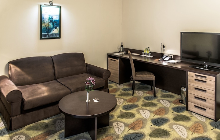 Imagen de la habitación del Hotel Park-hotel Golosievo. Foto 3