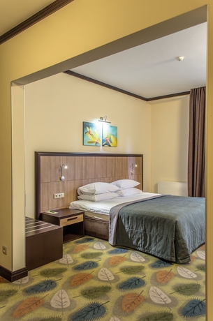 Imagen de la habitación del Hotel Park-hotel Golosievo. Foto 13