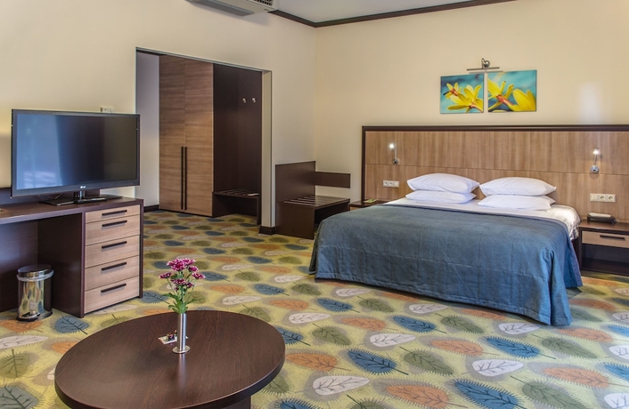Imagen de la habitación del Hotel Park-hotel Golosievo. Foto 14