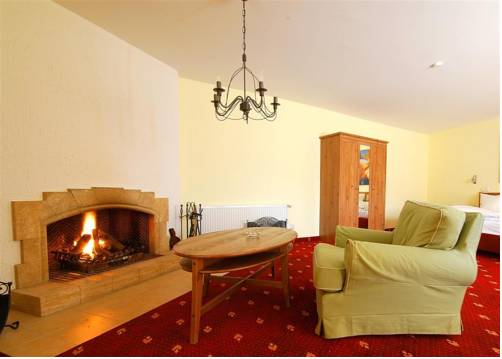Imagen de la habitación del Hotel Parkhotel Helmstedt. Foto 8