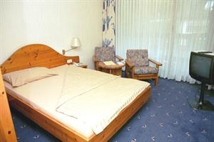 Imagen general del Hotel Parkhotel Luise Bad Herrenalb. Foto 2