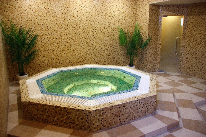 Imagen de la piscina del Hotel Park-hotel Praga. Foto 11