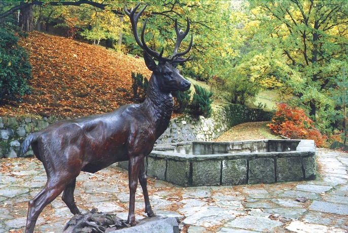 Imagen de los interiores del Hotel Parkhotel Richmond. Foto 13