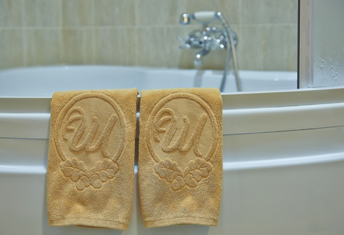 Imagen de la habitación del Hotel Park-hotel Sheremetevsky. Foto 8