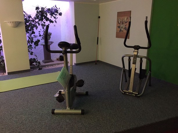Imagen de los interiores del Hotel Parkhotel Tannenhof. Foto 16