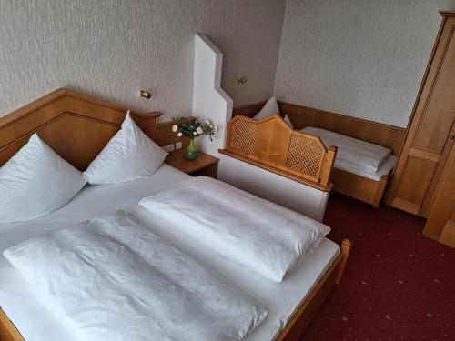 Imagen general del Hotel Parkhotel an der Therme. Foto 5