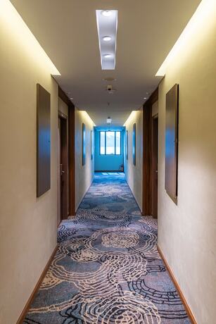 Imagen general del Hotel Parkside Gayo Petro. Foto 8