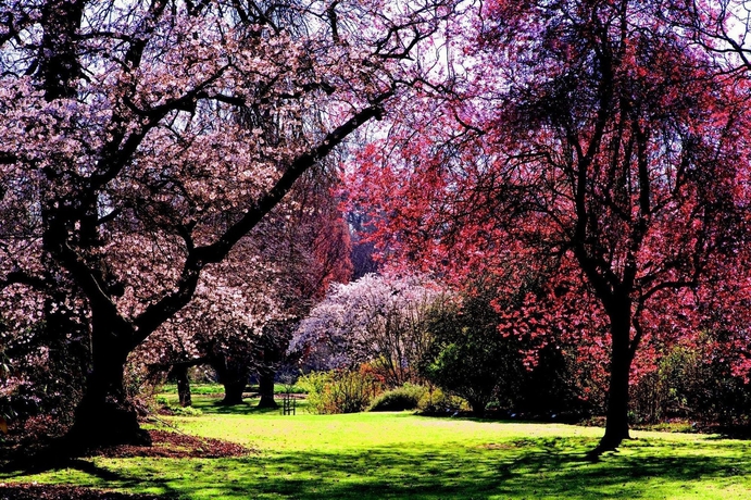 Imagen de los exteriores del Hotel Parkview On Hagley. Foto 11