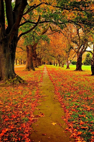 Imagen de los exteriores del Hotel Parkview On Hagley. Foto 12