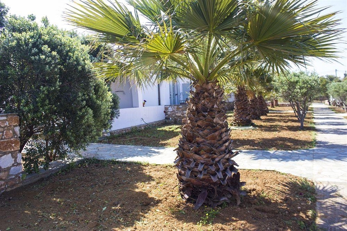 Imagen general del Hotel Parosland. Foto 6