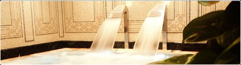 Imagen de la piscina del Hotel Parque - Balneario Termas Pallares. Foto 14