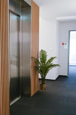 Imagen general del Hotel Parrot. Foto 5