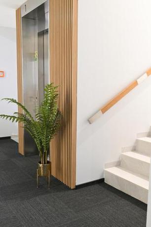 Imagen general del Hotel Parrot. Foto 6