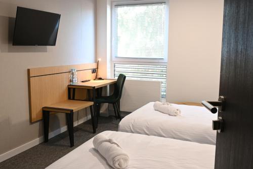 Imagen general del Hotel Parrot. Foto 11