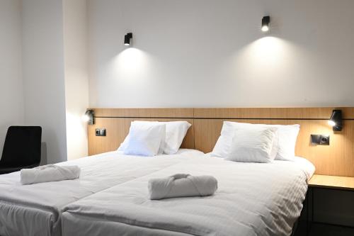 Imagen general del Hotel Parrot. Foto 14