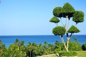 Imagen de la piscina del Hotel Parrot Paradise Resort. Foto 15