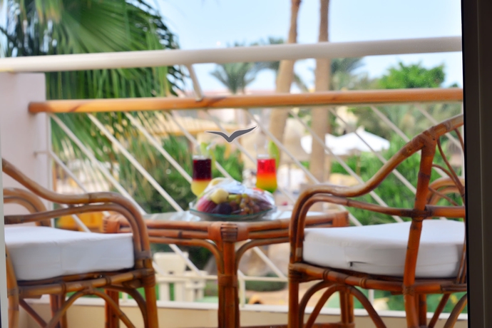 Imagen de la habitación del Hotel Parrotel Beach Resort. Foto 15