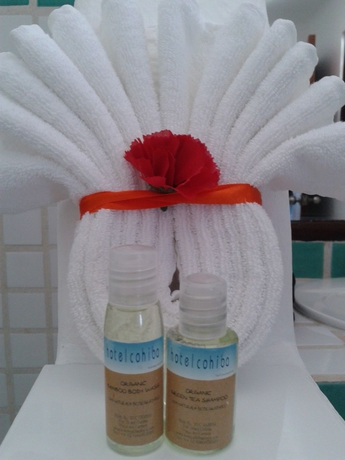 Imagen de la habitación del Hotel Partyholic - Near Playa Del Carmen Main Beach. Foto 8