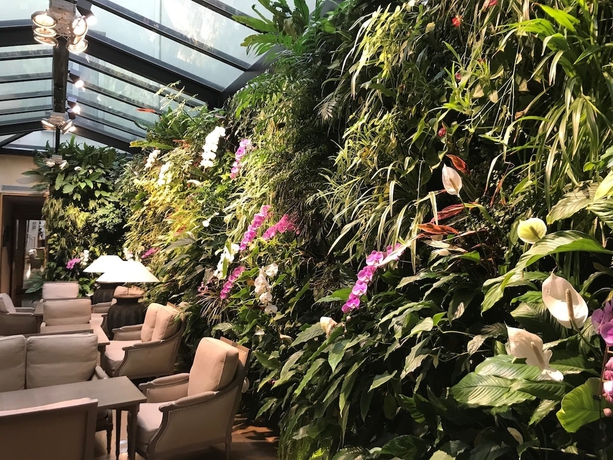 Imagen de los interiores del Hotel Pas De Calais. Foto 18