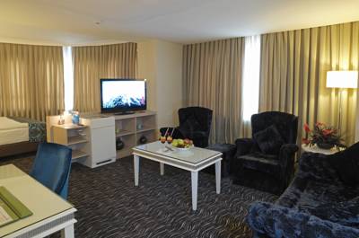 Imagen de la habitación del Hotel Pasapark. Foto 6