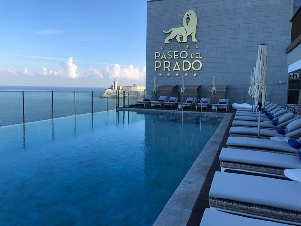 Imagen de la piscina del Hotel Paseo del Prado. Foto 7