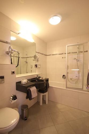 Imagen general del Hotel Passauer Wolf. Foto 3