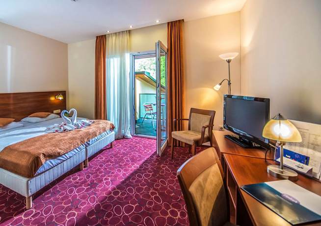 Imagen de la habitación del Hotel Patak Park. Foto 8