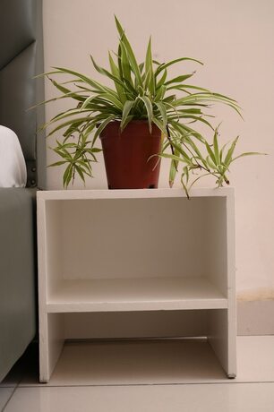 Imagen general del Hotel Patiala Inn. Foto 3