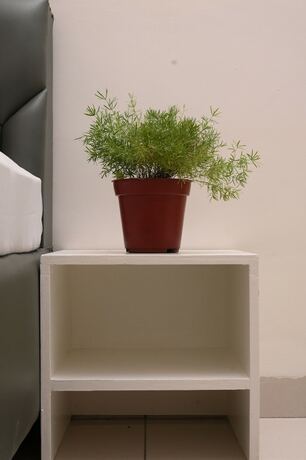 Imagen general del Hotel Patiala Inn. Foto 15