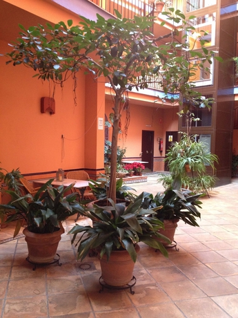 Imagen de los exteriores del Hotel Patio De La Alameda. Foto 14