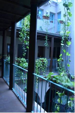 Imagen general del Hotel Patio De Las Cruces. Foto 9