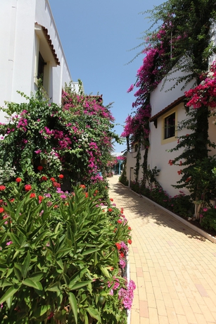 Imagen de los exteriores del Hotel Paul Marie. Foto 7