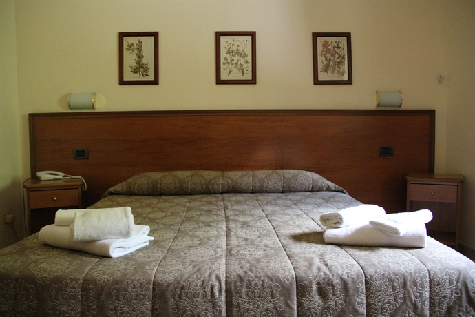 Imagen de la habitación del Hotel Pausania Inn. Foto 10